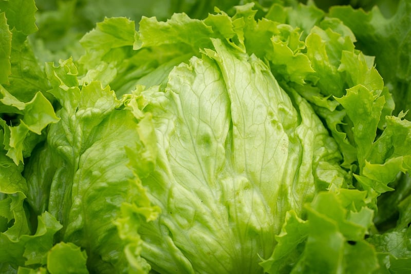Leafy Greens